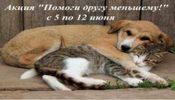 Акция "Помоги другу меньшему" Акция "Помоги другу меньшему".